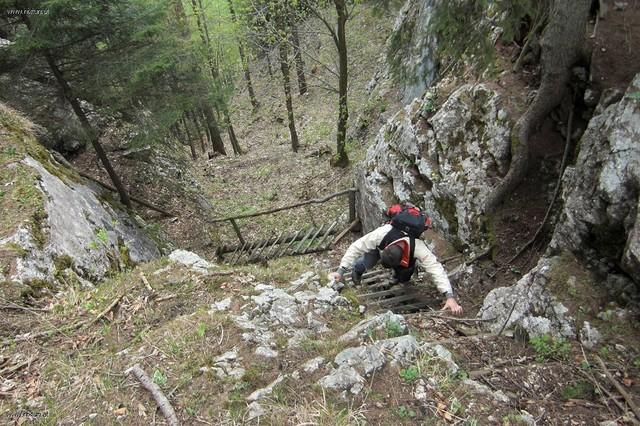 bärenschützklamm (10)