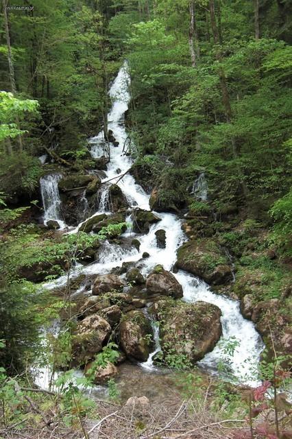 bärenschützklamm (11)