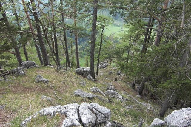 bärenschützklamm (9)