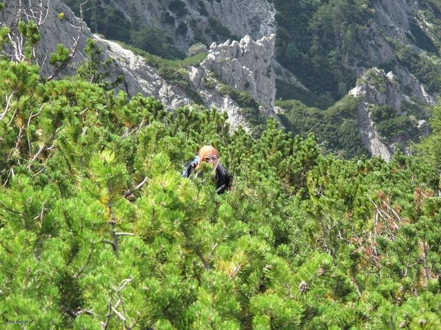 20090815_Karlhochkogel (21)