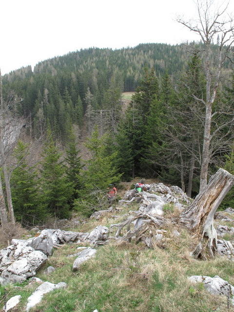 bärenschützrunde (16)