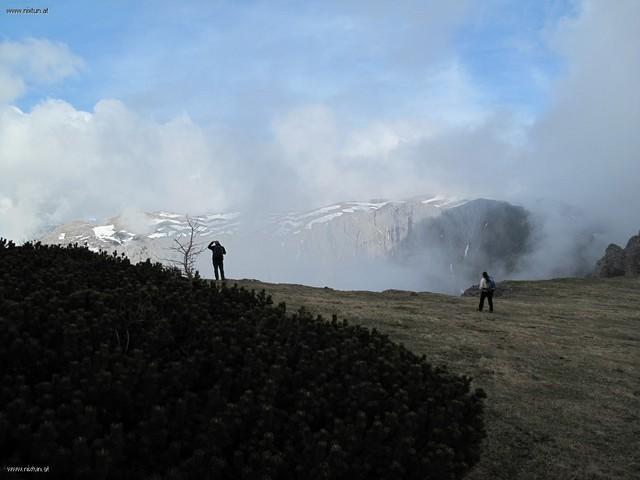 mitteralm (2)