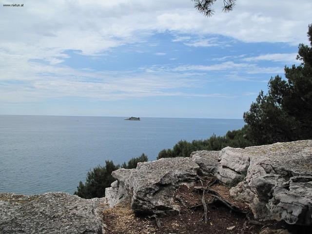 rovinj (6)