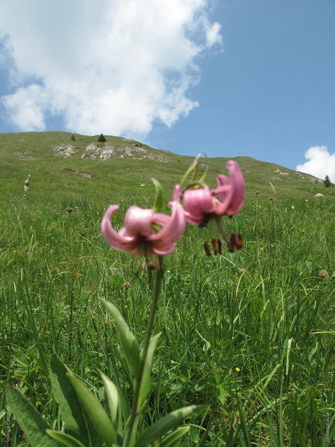 Lumkofel (20)