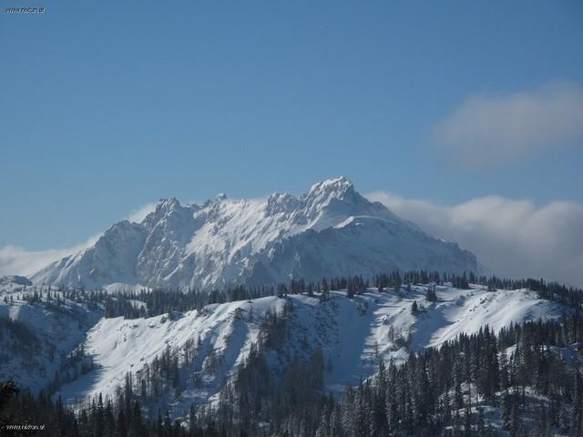 Häuselalm (5)