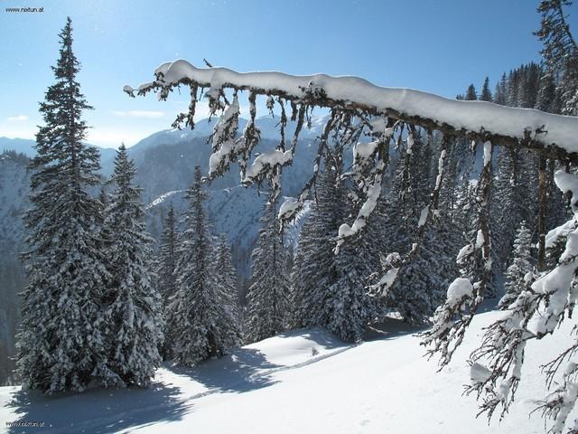 Häuselalm (9)