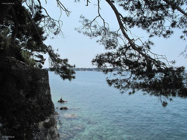 Rovinj (19)