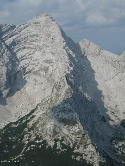 Zinödl (12)