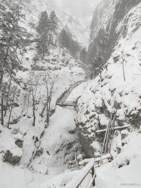 Bärenschützklamm (3)