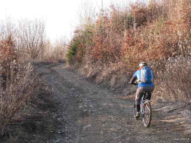 Gaisberg (07)