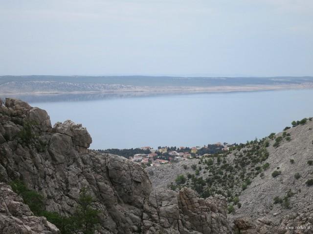 Kukovi (12)