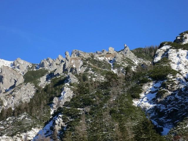 Karlschütt 15