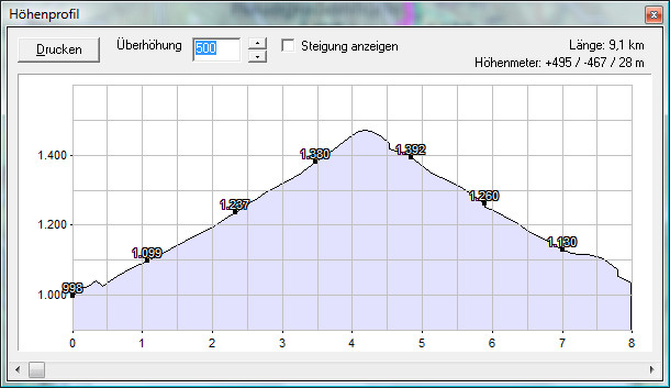 20130224_zechneralm_profil