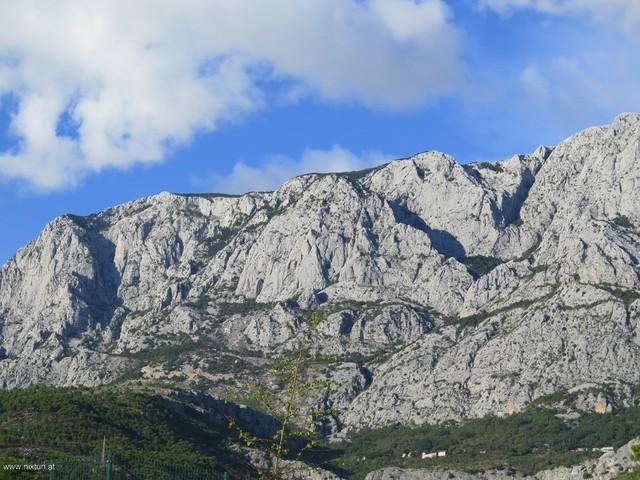 Ercegova 11