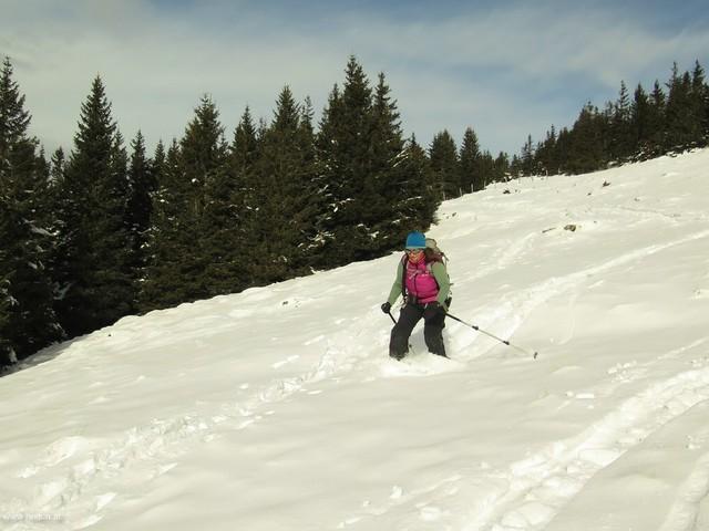 Weberkogel 13