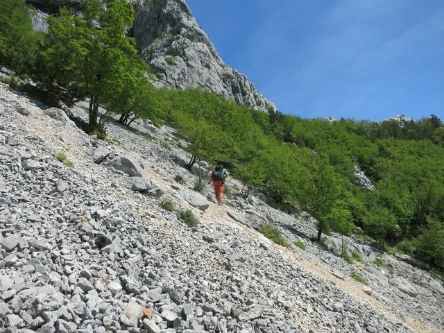MiletinBor 09