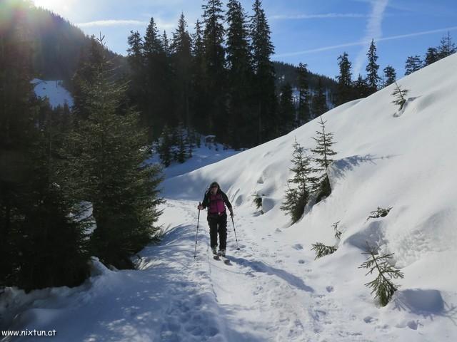 Triebenfeldkogel 01