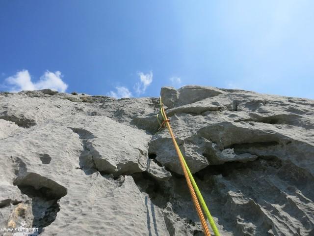 Schaukelpferd 05