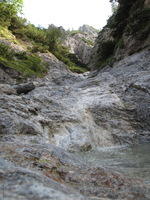 20090815_Karlhochkogel (4)