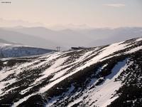 lachtal  (11)