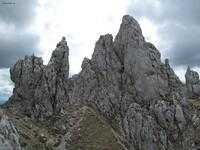 20100508 Mitteralm