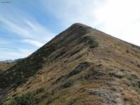 geierkogel (5)