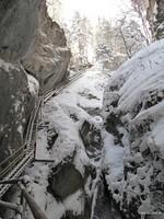 Bärenschützklamm (11)