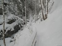 Bärenschützklamm (16)