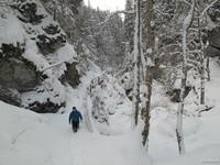 Bärenschützklamm (17)