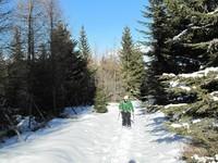 Stoffkogel (3)