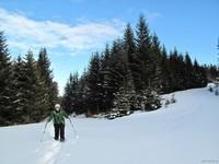 Stoffkogel (8)