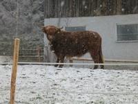 Poschalm (2)