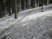 Poschalm (8)