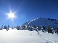 Triebenkogel 05