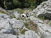AlteSüdwest 05