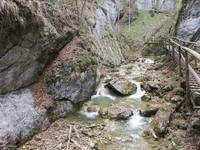 Bärenschützklamm 16