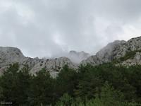 Ercegova 04