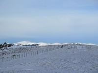 Weberkogel 08