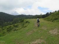 GriessnerAlm 14