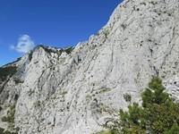 Ercegova Gradina 17