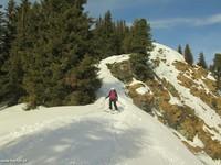 Triebenfeldkogel 14