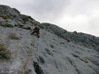 Schaukelpferd 04