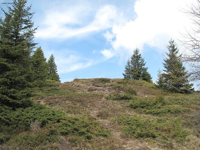 rossbachkogel (2)