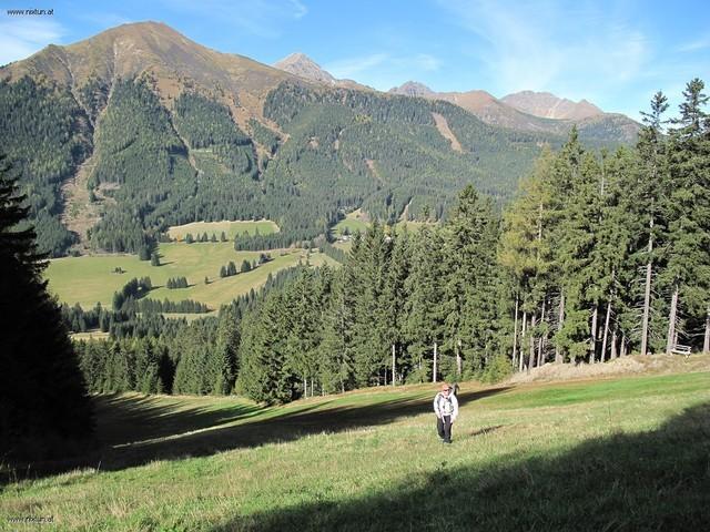 geierkogel (2)