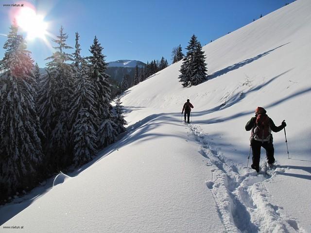 turntalerkogel (23)