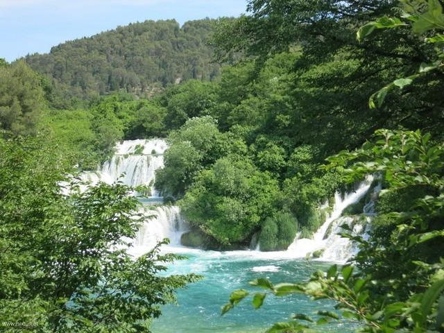 NP Krka 18
