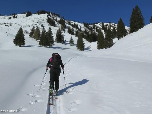 Triebenfeldkogel 03