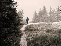 herrenkogel (6)